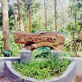 The Wilderness Resort, Masinagudi 1